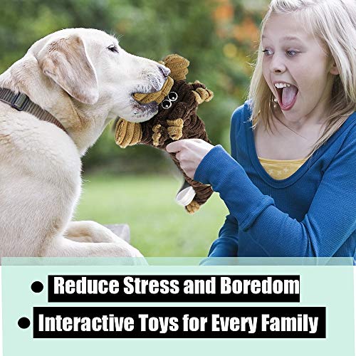 Squeaky Indestructible Dog Toys Bundle for Large and Small Dogs