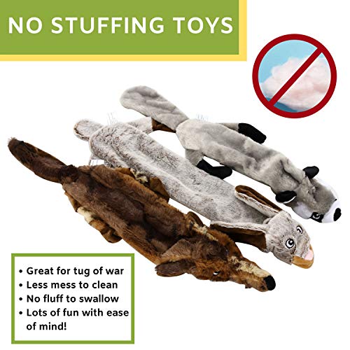 5-Pack Nature's Buddy Plush Squeaky Dog Toys