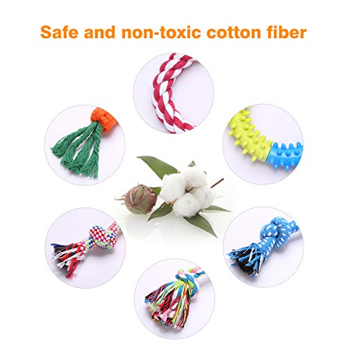 Natural Cotton Rope Dog Toy Bundle for Small/Medium Dogs