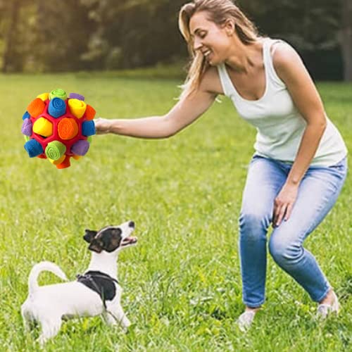 CIIVURR Snuffle Ball Interactive Food Puzzle Toy for Dogs
