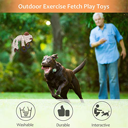 Bojafa Durable Squeaky Dog Toys Bundle for Dogs