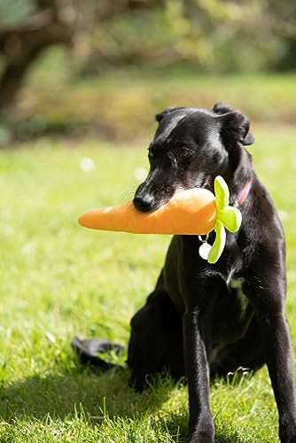 Petface Fluffy Carrot Dog Toy