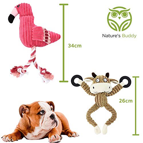 5-Pack Nature's Buddy Plush Squeaky Dog Toys