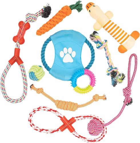 10 Pack Indestructible Dog Chew Toys for Puppies