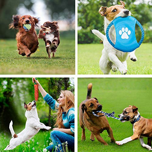 Natural Cotton Rope Dog Toy Bundle for Small/Medium Dogs