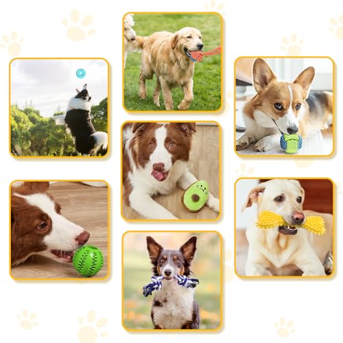 10-Pack Luxury Puppy Teething Toy Set for Small Dogs