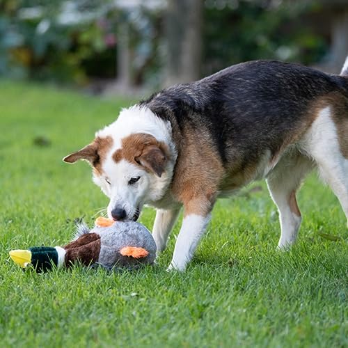 Petface Honking Duck Plush Toy for Dogs