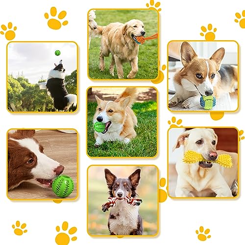 20 Pack Luxury Dog Chew Toys for Puppy