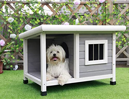 Outdoor Wooden Dog House with Steel Window