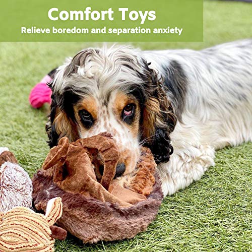 5-Pack Nature's Buddy Plush Squeaky Dog Toys