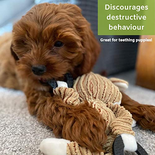 5-Pack Nature's Buddy Plush Squeaky Dog Toys