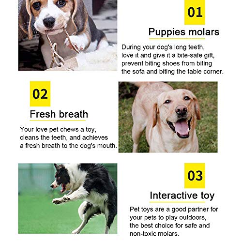 Natural Cotton Rope Dog Toy Bundle for Small/Medium Dogs