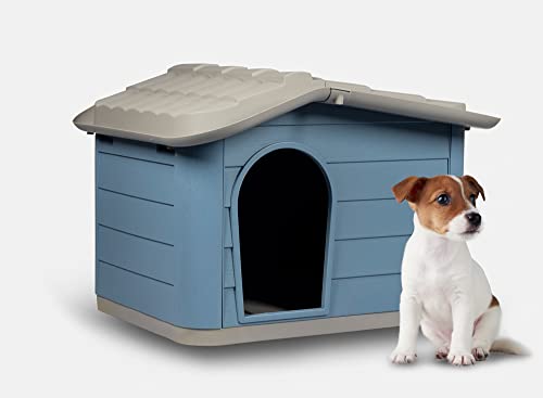 Blue Rosewood Dog and Rabbit Shelter Kennel House