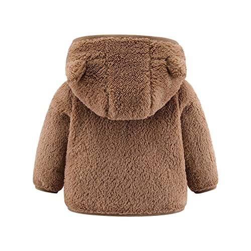 Bear Ears Fleece Hoody Winter Jacket for Babies