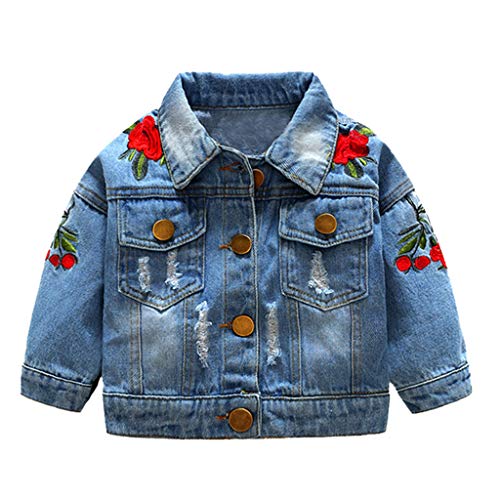 Toddler Baby Girl Rose Embroidery Denim Coat