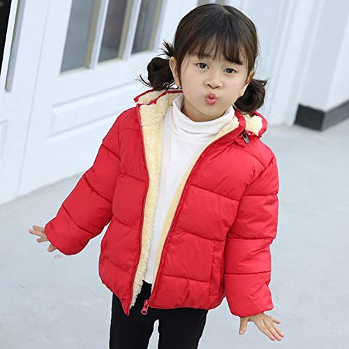 Blue Puffer Jacket with Hood for Infants/Toddlers