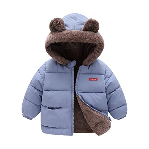 Blue Bear Ear Hooded Down Jacket for Toddlers