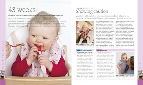 The Day-by-Day Baby Book: Expert Daily Guidance