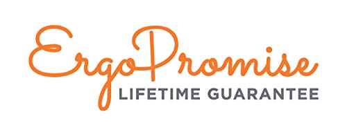 Ergobaby 360 Cool Air Carrier for Toddlers