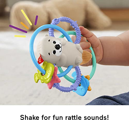 Fisher-Price 2-in-1 Otter Twist & Teethe Rattle