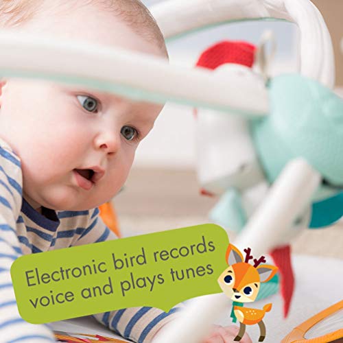 2-in-1 Musical Baby Play Mat: Tiny Love Gymini