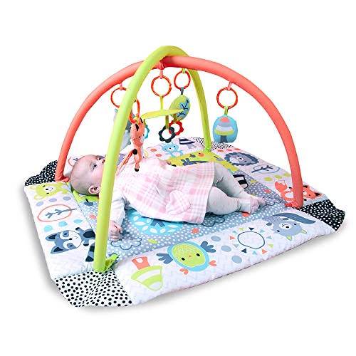 Peppermint Trail Play Gym for Baby
