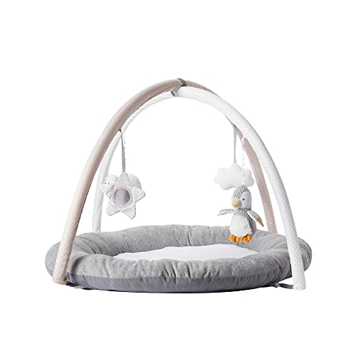 Nuby Penguin Play Gym with Padded Mat