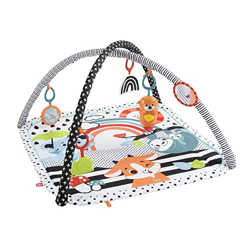 Fisher-Price 3-in-1 Baby Gym Playset