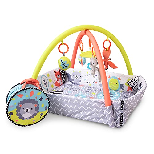 Peppermint Trail Play Gym for Baby