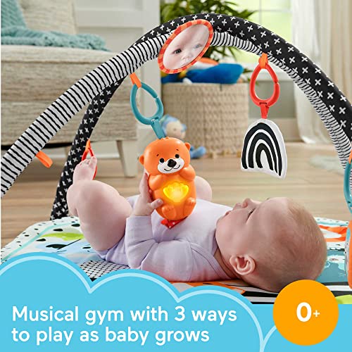 Fisher-Price 3-in-1 Baby Gym Playset