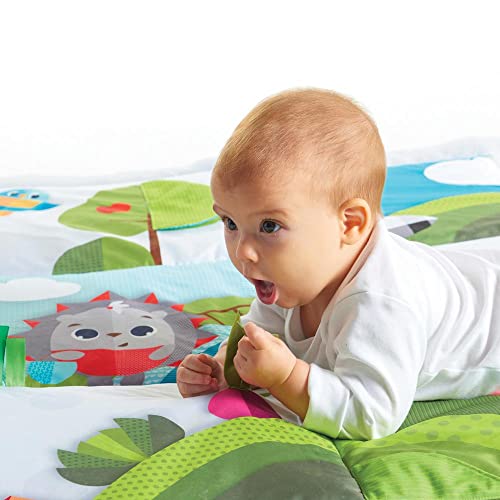 Large Meadow Days Activity Play Mat for Babies
