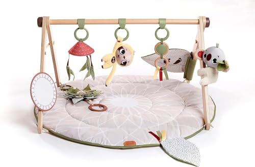 Luxe Developmental Gymini: Stylish Baby Play Gym