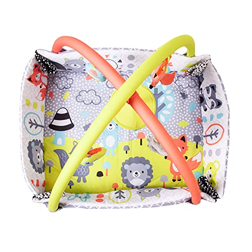 Peppermint Trail Play Gym for Baby