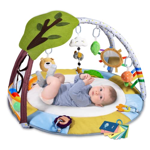 Baby Play Mat with 9 Toys and Gym
