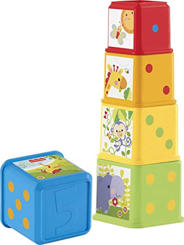 Fisher-Price Blocks: Stacking & Nesting Toy Set