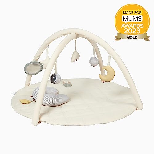 MiniDream Baby Play Mat with Detachable Toys