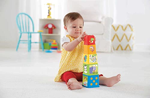 Fisher-Price Blocks: Stacking & Nesting Toy Set