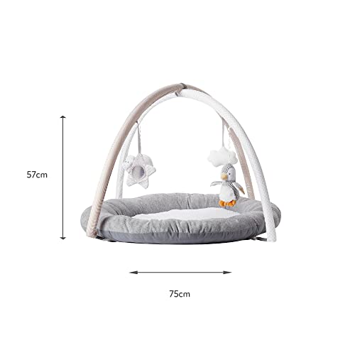 Nuby Penguin Play Gym with Padded Mat