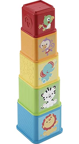 Fisher-Price Blocks: Stacking & Nesting Toy Set