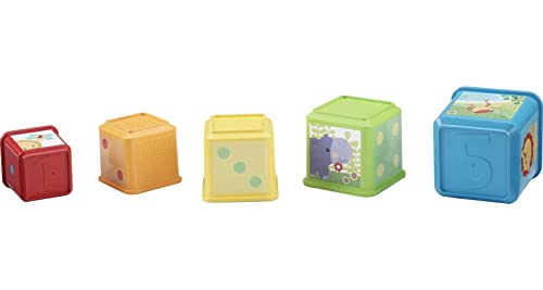 Fisher-Price Blocks: Stacking & Nesting Toy Set