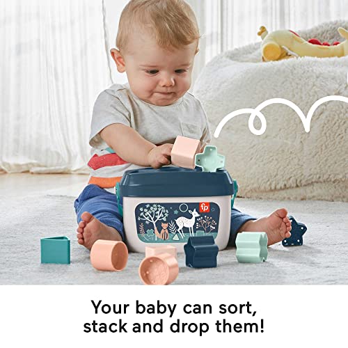 Fisher-Price Stacking Toy: Baby's First Blocks Set