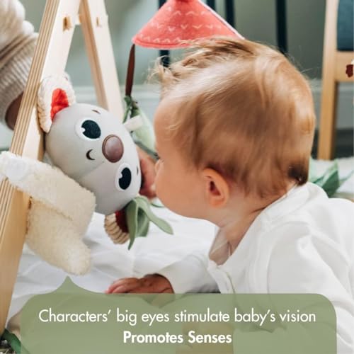 Luxe Developmental Gymini: Stylish Baby Play Gym