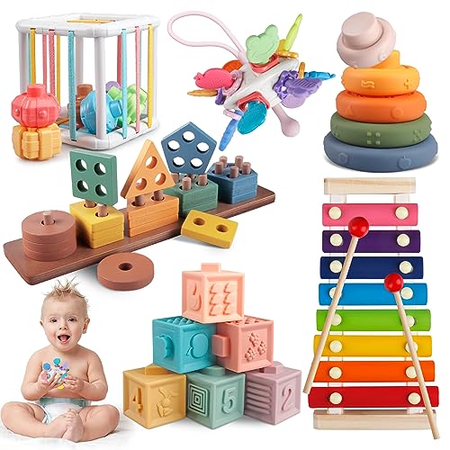 6-in-1 Montessori Toys for Babies 6-36 Months