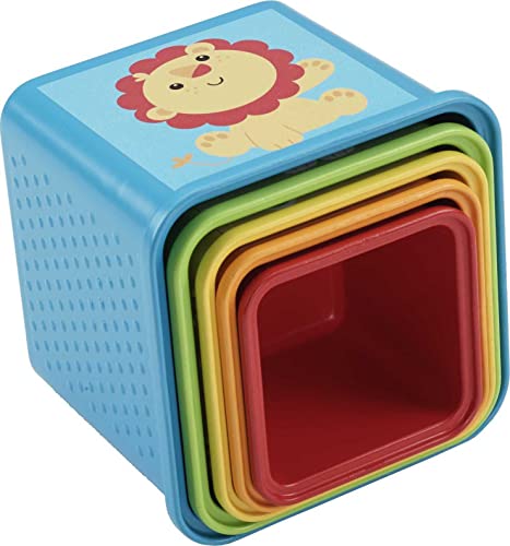 Fisher-Price Blocks: Stacking & Nesting Toy Set