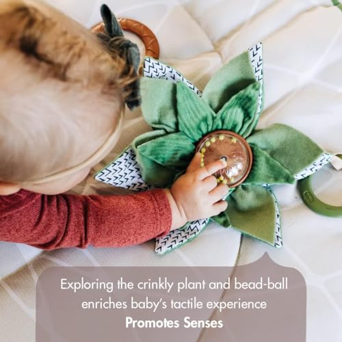 Luxe Developmental Gymini: Stylish Baby Play Gym