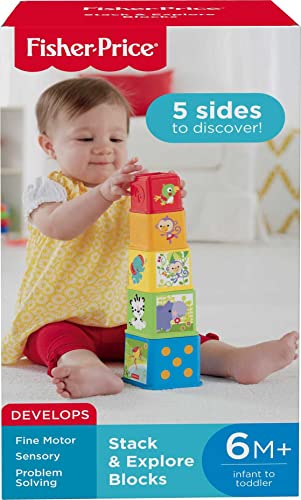 Fisher-Price Blocks: Stacking & Nesting Toy Set