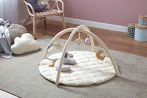 MiniDream Baby Play Mat with Detachable Toys