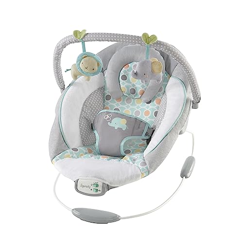 Ingenuity Soothing Infant Bouncer Chair - Morrison