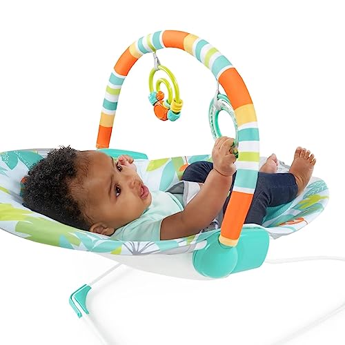 Bright Starts Baby Bouncer: Soothing Vibrations, Infant Seat