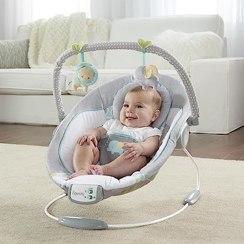 Ingenuity Soothing Infant Bouncer Chair - Morrison